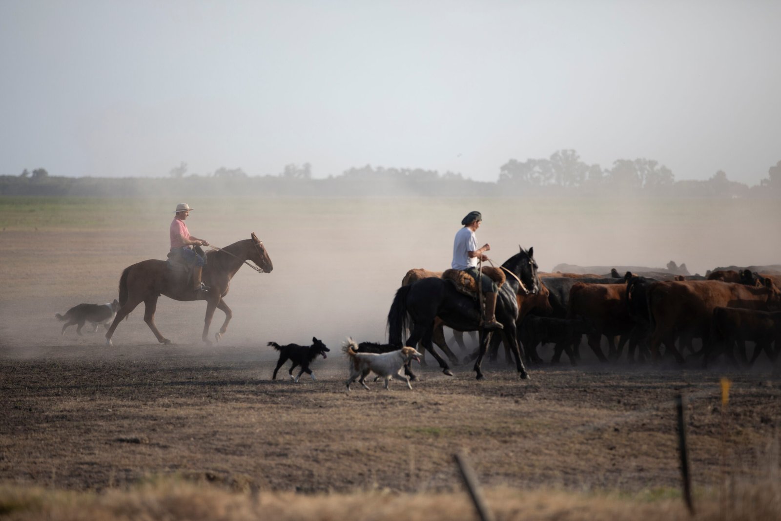 Consignatarios de hacienda EIV
