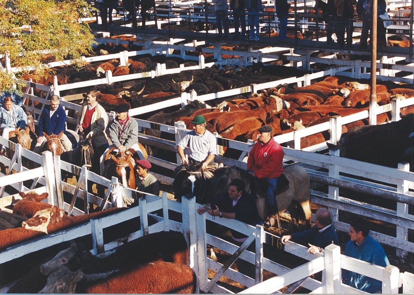 Producción agropecuaria EIV